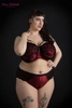 Bra semi-soft black with red FB Flamenco
